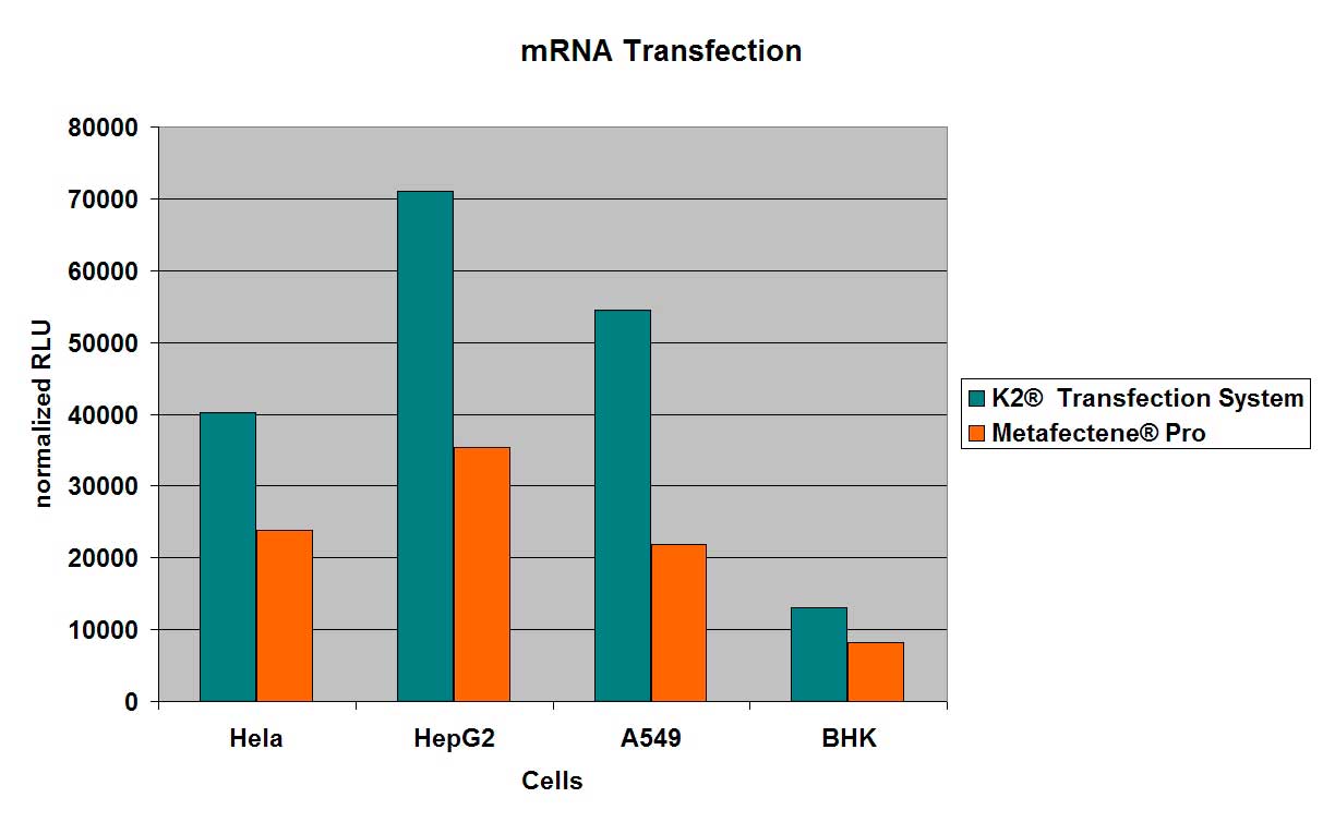 Transfection efficiency of K2® Transfection System with Luciferase encoding mRNA compared with METAFECTENE® PRO under optimized conditions