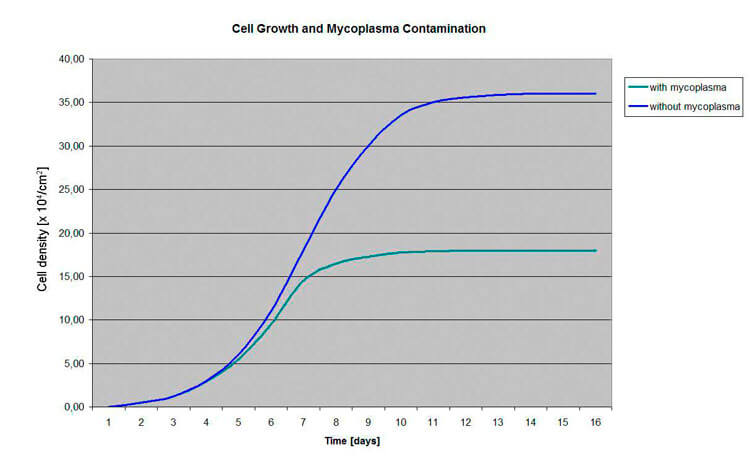 Effect of mycoplasma contamination on growth of HeLa cells | Biontex